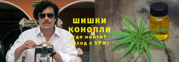PSILOCYBIN Беломорск