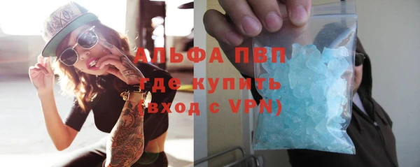 ПСИЛОЦИБИНОВЫЕ ГРИБЫ Богданович