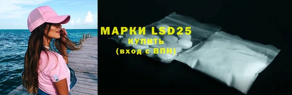 ПСИЛОЦИБИНОВЫЕ ГРИБЫ Богданович
