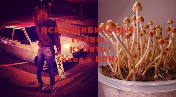 СК Богородск