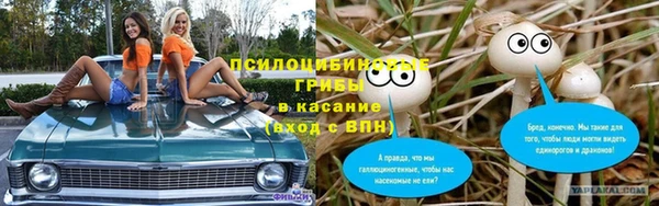 СК Богородск