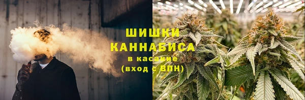 СК Богородск