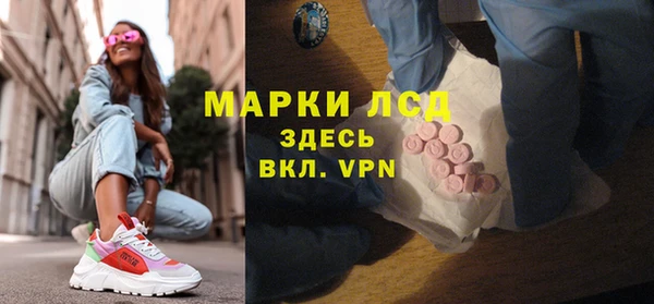 ПСИЛОЦИБИНОВЫЕ ГРИБЫ Богданович