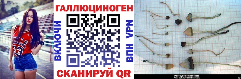Галлюциногенные грибы мухоморы  купить наркотик  Минеральные Воды 