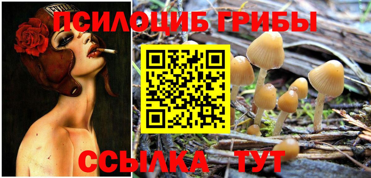 Галлюциногенные грибы Cubensis Минеральные Воды