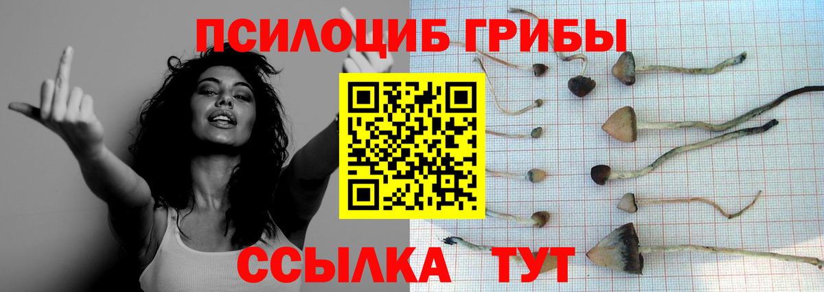 Минеральные Воды  Псилоцибиновые грибы мицелий  магазин  наркотиков  Вход с VPN 